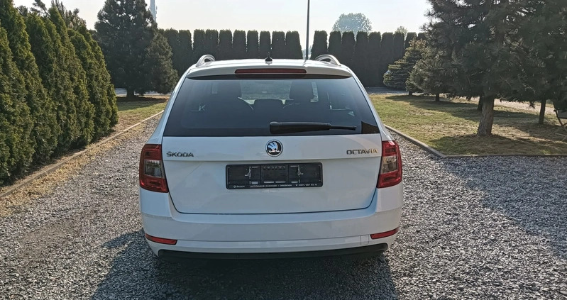 Skoda Octavia cena 35800 przebieg: 95428, rok produkcji 2018 z Łódź małe 301